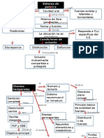 Mapa Fisio