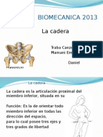 Biomecanica DE CADERA.