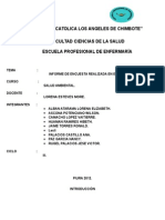 Informe de Trabajo de Salud Ambiental.