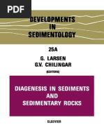 Sedimentologia .G Larsen