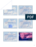 Clostridiosis PDF