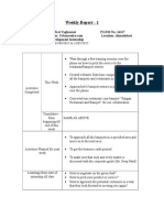 Internship Weekly Report Format