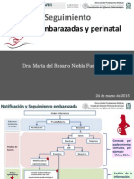 6 - SEGUIMIENTO de CASOS (Embarazadas y Perinatal)