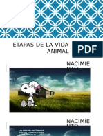 Etapas de La Vida Animal 