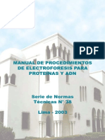 Manual Electroforesis 38.pdf