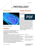 cell pathology 