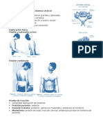 Técnicas Manipulativas Columna Cervical