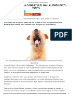 Cinco Tips Para Combatir El Mal Aliento de Tu Perro