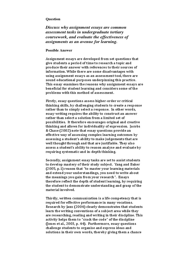 Essay - Example - University Assignments | PDF | Educational Assessment ...