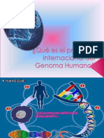 Qué Es El Proyecto Internacional Del Genoma