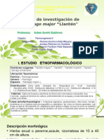 UNIVERSIDAD NACIONAL MAYOR DE SAN MARCOS. Estudio etnofarmacológico, farmacognóstico y formulación de un ungüento a base de Plantago major (Llantén