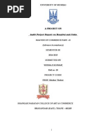 Download Audit of Hospital and Clubs by RajVishwakarma SN291428778 doc pdf