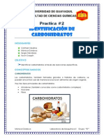 Practica 2 Lab e Bioquimica II (Identificacion de Carbohidratos)