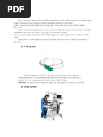 Nicu Picu Iccu