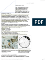 Blastocistosis - Recursos en Parasitología - Unam (Checked)