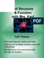 cell structure function