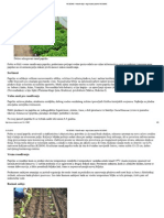 NS SEME » Rasađivanje i nega biljaka paprike NS SEME.pdf