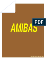 Amebiosis 2007 B