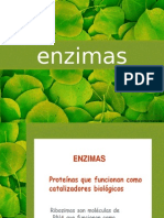 ENZIMAS 2