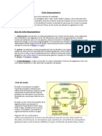 Ciclos biogeoquimicos