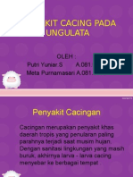 Penyakit Cacing Pada Unggulata