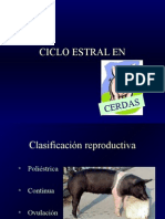 24dcicloestralcerdas 090907112421 Phpapp02