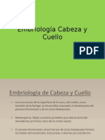 Embriología Cabeza y Cuello 1