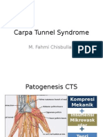 Carpa Tunnel Syndrome: M. Fahmi Chisbullah
