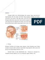 BAB II Tambahan Meningitis