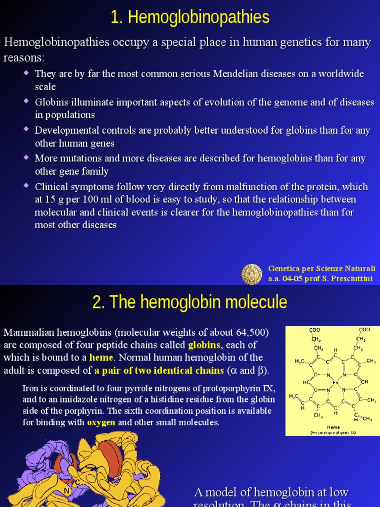 Hemoglobin Genetics and Development | PDF | Hemoglobin | Anemia