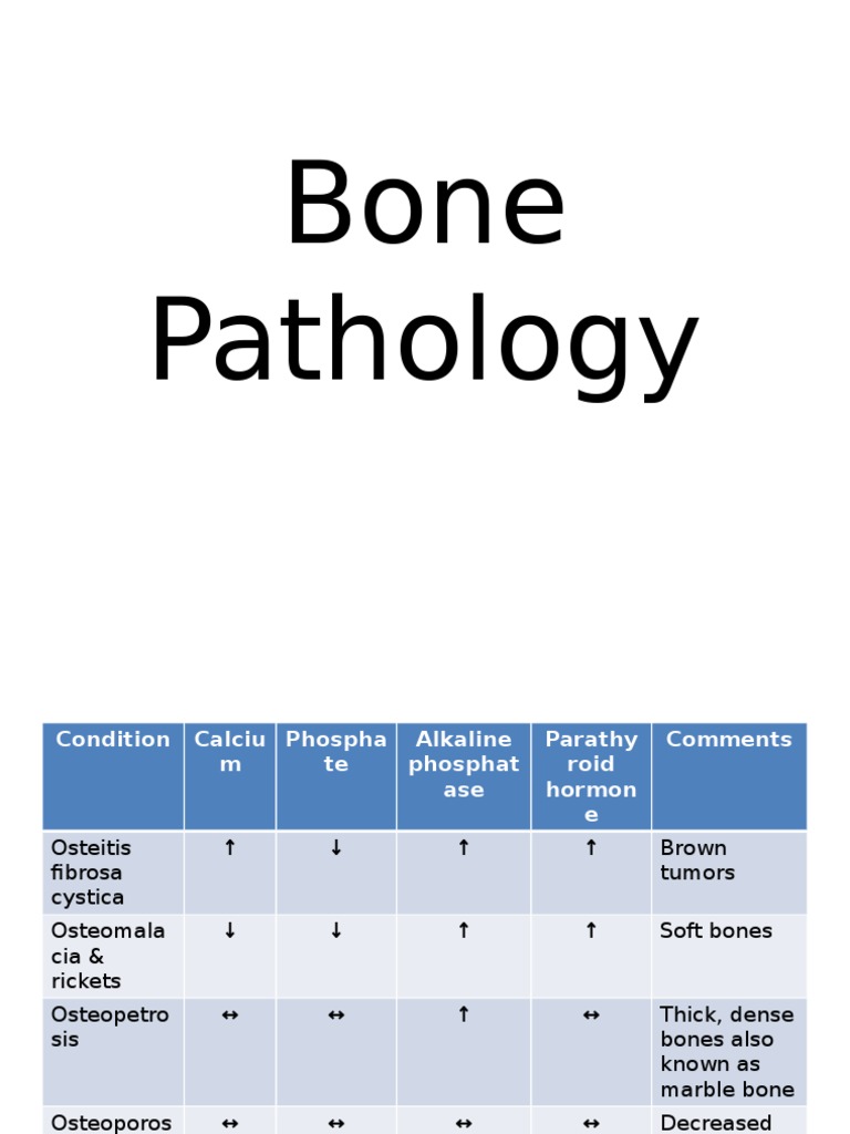 Bone Pathology Osteoporosis, Osteomalacia, Osteopetrosis, Paget's
