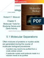 Biology Lecture, Chapter 5