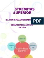 k - 3,4 Osteologi Extr Superior