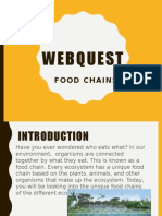 Webquest: Food Chains