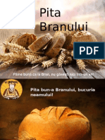 Pita Branului