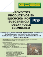 PROYECTOS PRODUCTIVOS EN EJECUCIÓN POR LA SUBGERENCIA DE DESARROLLO ECONÓMICO 