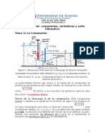 ProblemasdecompuertasvertedoresysaltoHidraulico