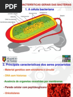 Caracteristicas Gerais Das Bacterias