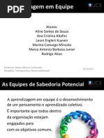 Aprendizagem Em Equipe