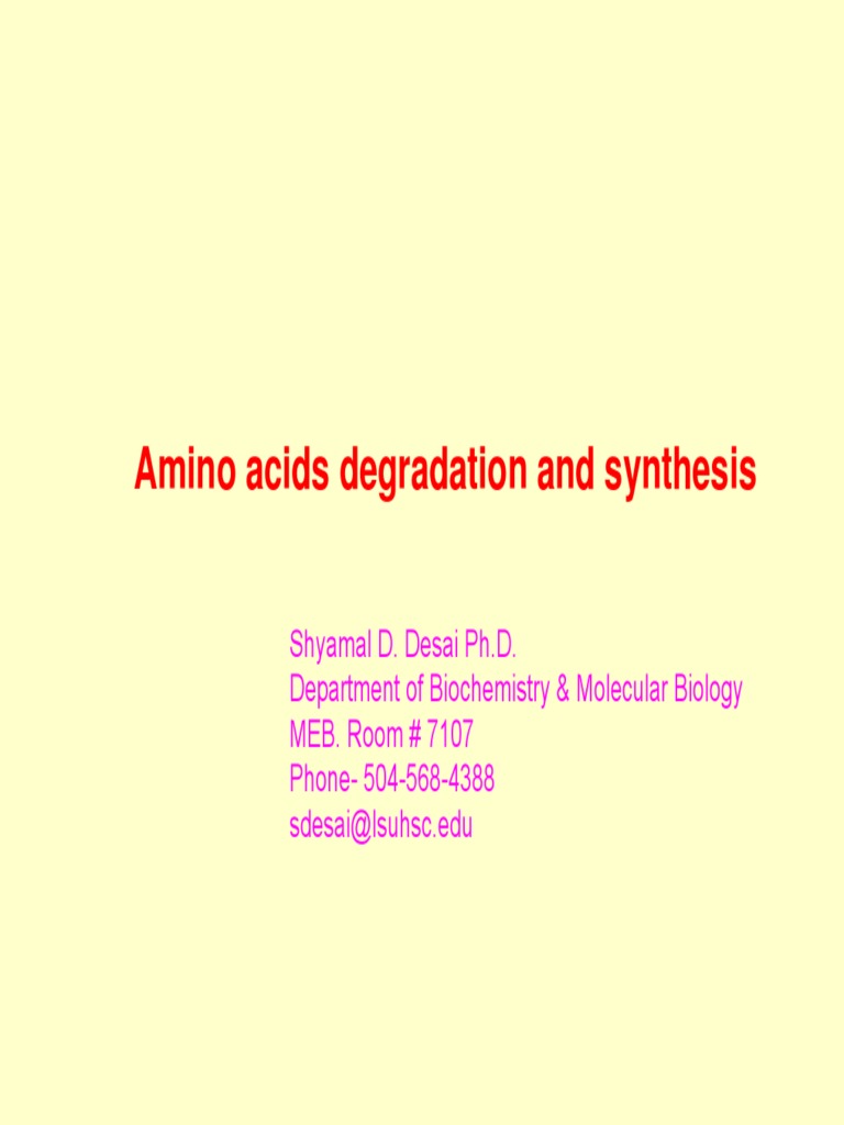 Amino Acids Overview | PDF | Biosynthesis | Citric Acid Cycle
