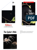 Raz lg38 Spidersweb