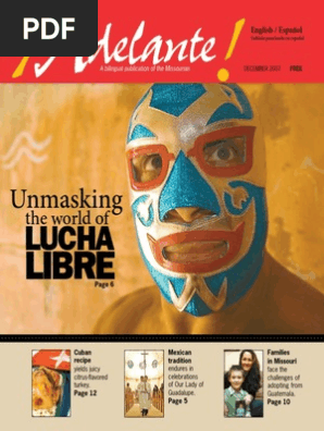 Lucha Libre Story