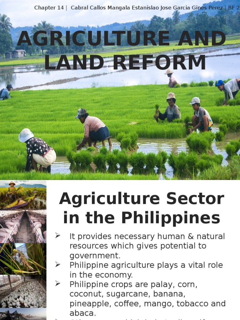 Agrarian Reform in the Philippines Agriculture Food Security