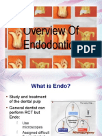 Endo Overview
