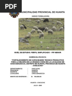 Perfil de Proyecto Ovinos Choccehuiscca