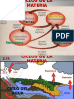 Ciclos de La Materia