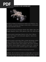 Os Símbolos e Os Animais