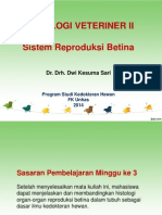 Histologi Reproduksi Betina New PDF