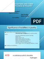 BOOST POULTRY PERFORMANCE WITH FEED ACIDIFIERS