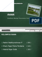 Klasifikasi Rawa